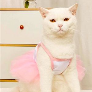 Bailarina  dress pet ❤️